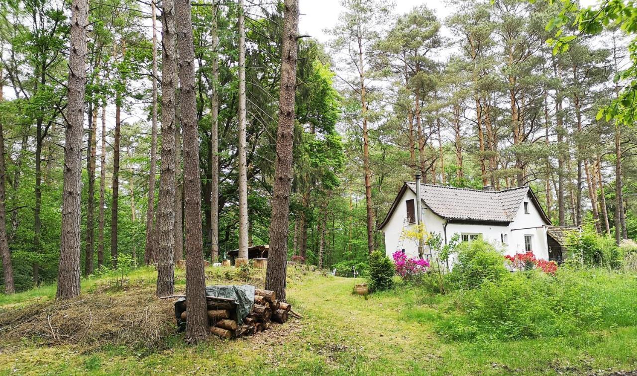 Holiday home Romantisches Kleines Altes Hauschen Im Zauberwesenwald Hamburg