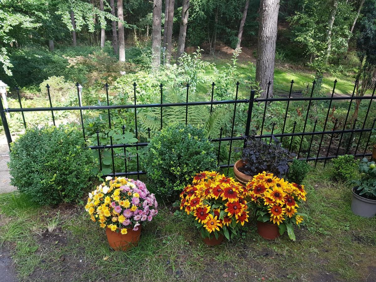 Romantisches Kleines Altes Hauschen Im Zauberwesenwald Holiday home *