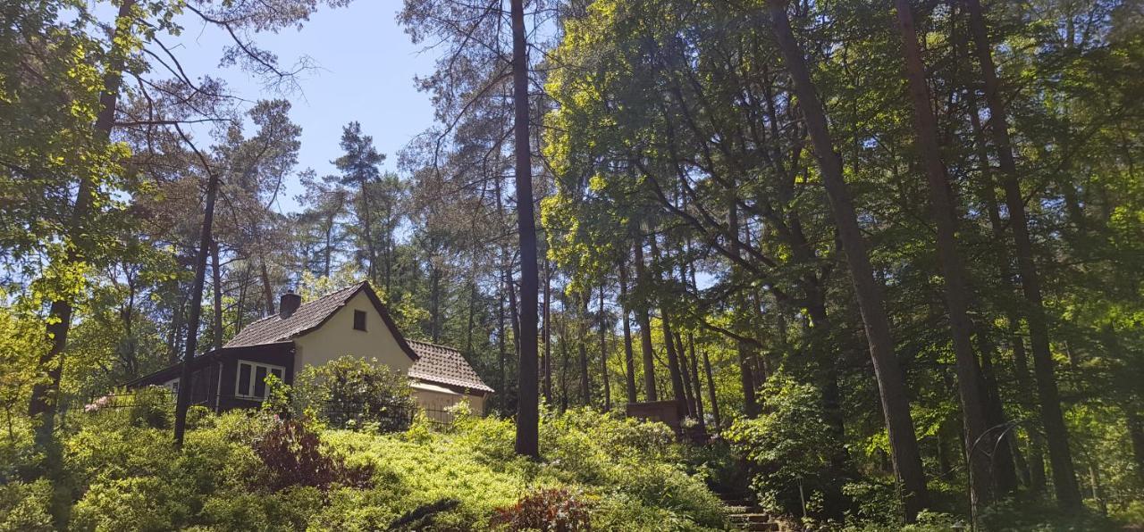Romantisches Kleines Altes Hauschen Im Zauberwesenwald Hamburg