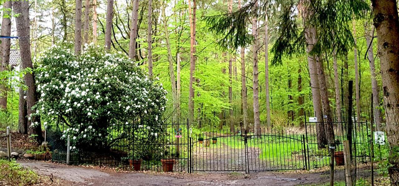 Romantisches Kleines Altes Hauschen Im Zauberwesenwald